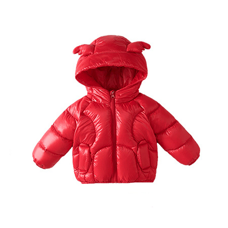 Down Coat